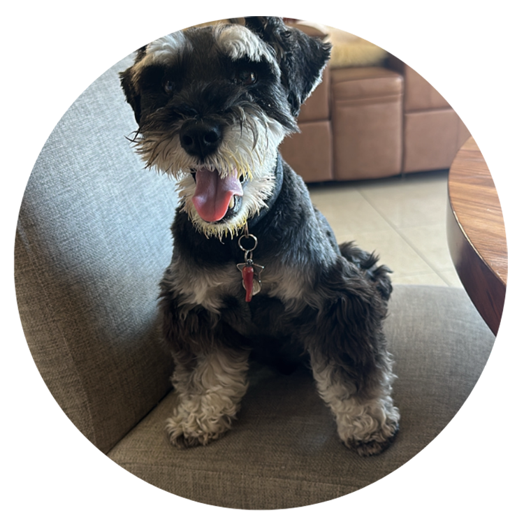 charlie Car Dealer Team Member